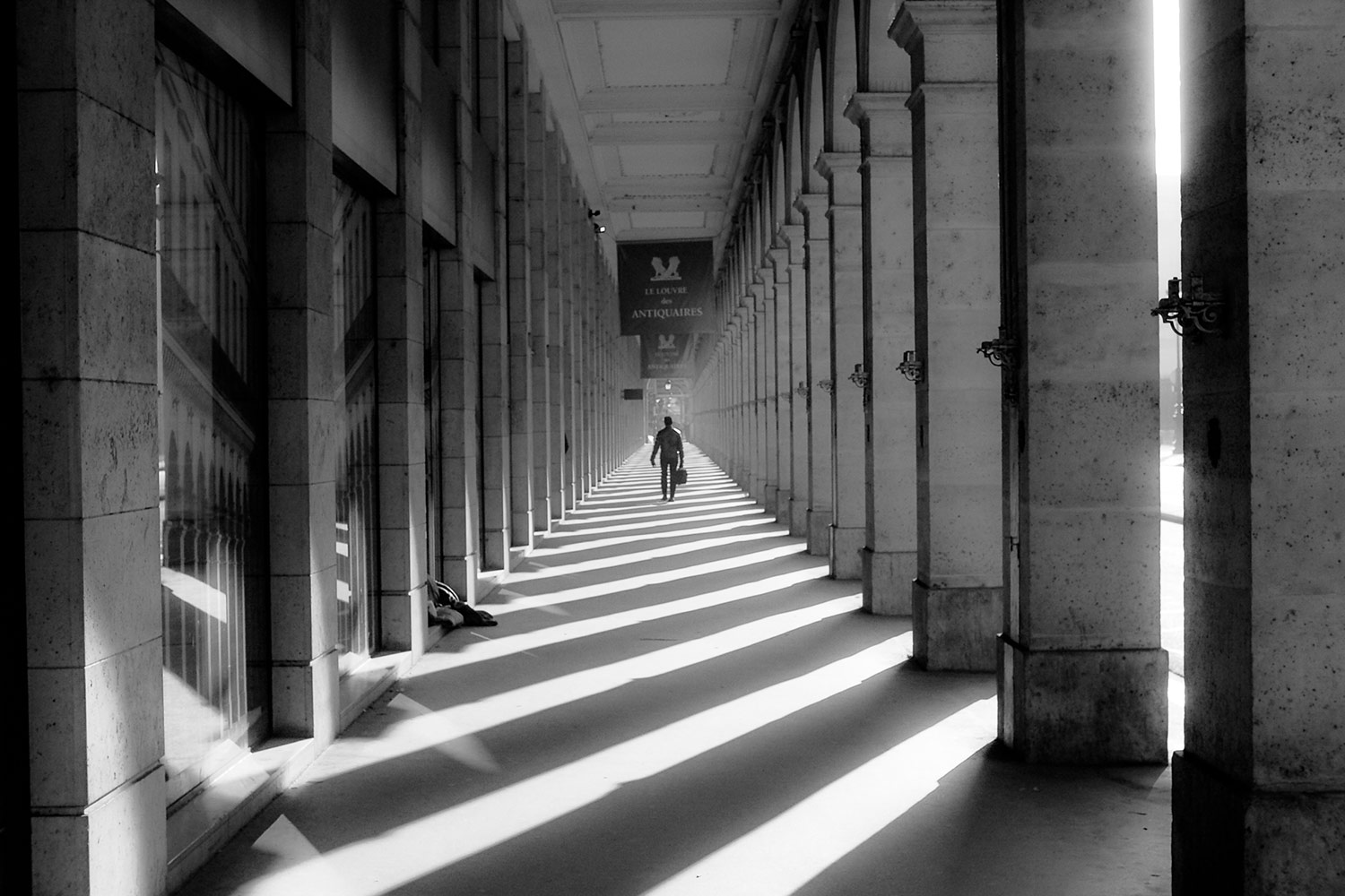 Marcos Segovia
