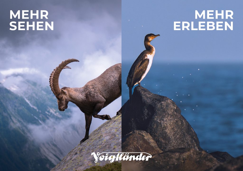 Voigtländer Ferngläser Coming Soon